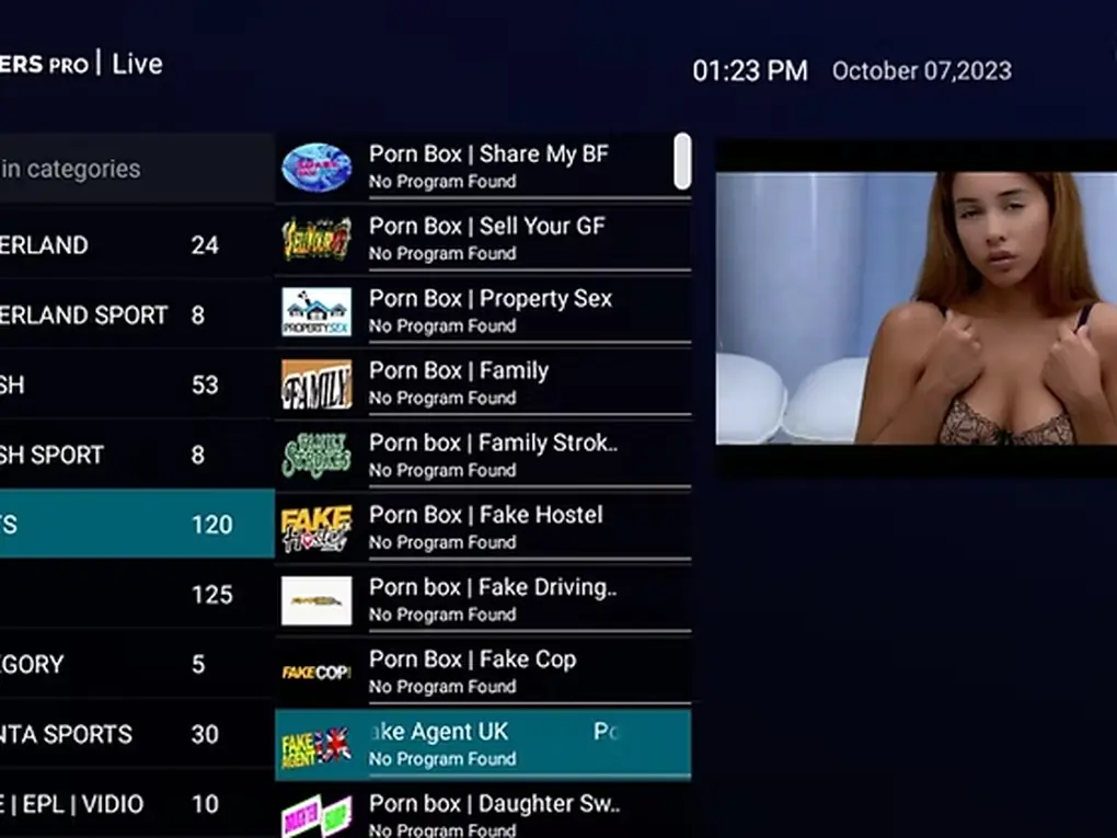 IPTV Smarters showing an 18+ category supplied by the provider's playlist